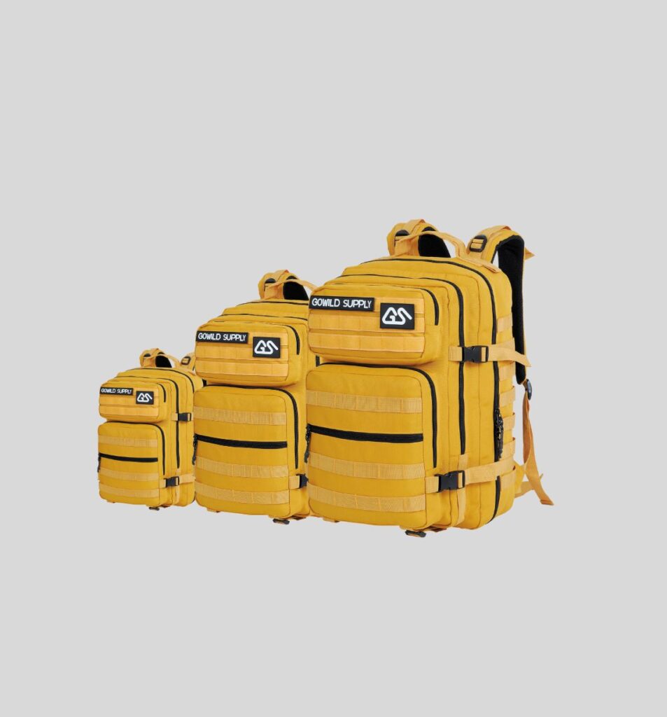 Custom Travel Backpack
